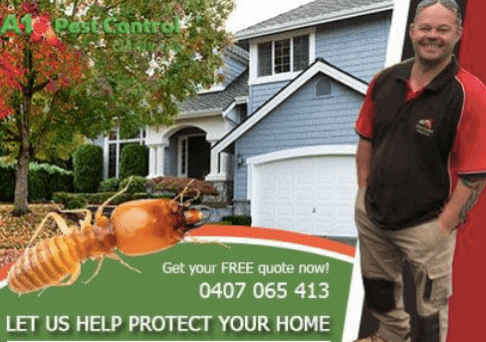 Pest Control Service in Canberra